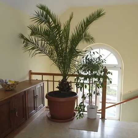 Gaestewohnung Elstroem Dresda Esterno foto